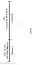 Fig. 63 - MOLECULAR PROFILING OF IMMUNE MODULATORS
