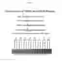 Fig. 04 - Discriminating BRAF mutations