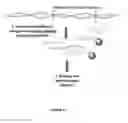 Fig. 06 - Methods for detecting target DNA sequences