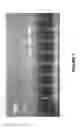 Fig. 08 - Methods for detecting target DNA sequences
