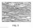 Fig. 04 - INDUCTION HEATABLE STAINLESS STEEL SHEET HAVING EXCELLENT CORROSION RESISTANCE AND METHOD OF MANUFACTURING THE SAME