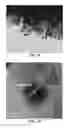 Fig. 06 - NANOSTRUCTURED ELECTRODES AND METHODS OF MAKING AND USE THEREOF