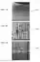 Fig. 06 - ANODIZATION ARCHITECTURE FOR ELECTRO-PLATE ADHESION