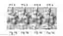 Fig. 08 - Method of producing a microtube
