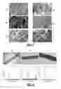 Fig. 06 - REINFORCING NANOFIBER ADDITIVES