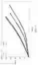 Fig. 07 - Hybrid Cord and Use Thereof