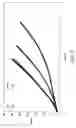 Fig. 08 - Hybrid Cord and Use Thereof