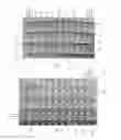 Fig. 02 - Conductive fabric, method of manufacturing a conductive fabric and apparatus therefor