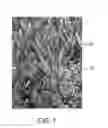 Fig. 02 - METHOD AND SYSTEM FOR RESCUING PLAYABILITY OF SYNTHETIC TURF
