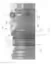 Fig. 19 - Indexing dart system and method for wellbore fluid treatment
