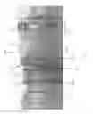 Fig. 21 - Indexing dart system and method for wellbore fluid treatment
