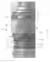 Fig. 22 - Indexing dart system and method for wellbore fluid treatment