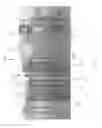 Fig. 24 - Indexing dart system and method for wellbore fluid treatment