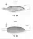 Fig. 09 - PROPELLER BLADE PROTRUSIONS FOR IMPROVED AERODYNAMIC PERFORMANCE AND SOUND CONTROL