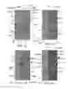 Fig. 06 - TURBINE ABRADABLE LAYER WITH AIRFLOW DIRECTING PIXELATED SURFACE FEATURE PATTERNS
