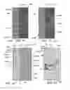 Fig. 07 - TURBINE ABRADABLE LAYER WITH AIRFLOW DIRECTING PIXELATED SURFACE FEATURE PATTERNS