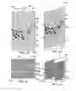 Fig. 11 - TURBINE ABRADABLE LAYER WITH AIRFLOW DIRECTING PIXELATED SURFACE FEATURE PATTERNS
