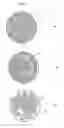 Fig. 06 - Catalytic converters having non-linear flow channels