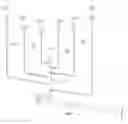 Fig. 01 - False start drain system with vertical header