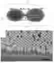 Fig. 01 - Nanomotor propulsion