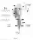 Fig. 06 - Nanomotor propulsion