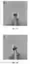 Fig. 27 - Nanomotor propulsion