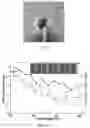 Fig. 28 - Nanomotor propulsion