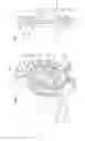 Fig. 06 - Rotodynamic Pumps that Resist Clogging