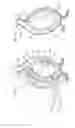 Fig. 09 - Rotodynamic Pumps that Resist Clogging