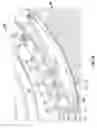 Fig. 07 - Support assembly for a turbomachine