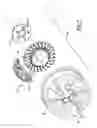 Fig. 02 - Surface ventilated disc brake rotor