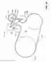 Fig. 25 - Orbital tensioner assembly