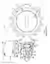 Fig. 02 - Methods and appratus for independently controlling seating forces in rotary valves