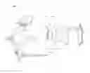 Fig. 11 - Landscape Light