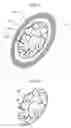 Fig. 08 - Phosphor wheel, illumination apparatus and projection type image display apparatus
