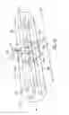 Fig. 09 - Heat exchanger for a vapor compression system