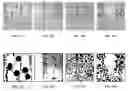 Fig. 15 - Functional coatings enhancing condenser performance