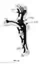 Fig. 10 - Composite archery release