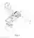 Fig. 05 - Safety Ring Support for Throwing Trap