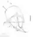 Fig. 11 - Padded arrow head