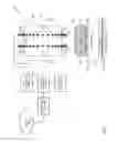 Fig. 06 - Methods and apparatuses for determining the volume of a substance in a flexible tank