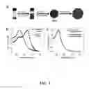Fig. 03 - Plasmonic nanoparticle-based colorimetric stress memory sensor