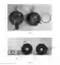 Fig. 03 - ELECTROPHORETIC TISSUE CLEARING CHAMBER AND USES THEREOF