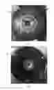 Fig. 04 - ELECTROPHORETIC TISSUE CLEARING CHAMBER AND USES THEREOF