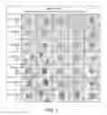 Fig. 04 - Spectral differentiation of histological stains