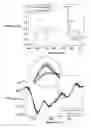 Fig. 01 - BIOCHEMICAL ANALYSIS OF PBMC