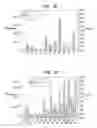 Fig. 11 - BIOCHEMICAL ANALYSIS OF PBMC