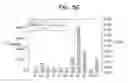 Fig. 12 - BIOCHEMICAL ANALYSIS OF PBMC