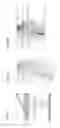 Fig. 09 - Arrays of integrated analytical devices