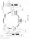 Fig. 23 - Capillary array cartridge for capillary electrophoresis systems